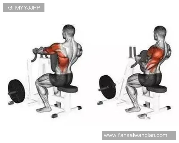 打造完美身形的必备利器全方位健身器材推荐与使用指南 打造完美身形的必备利器全方位健身器材推荐与使用指南