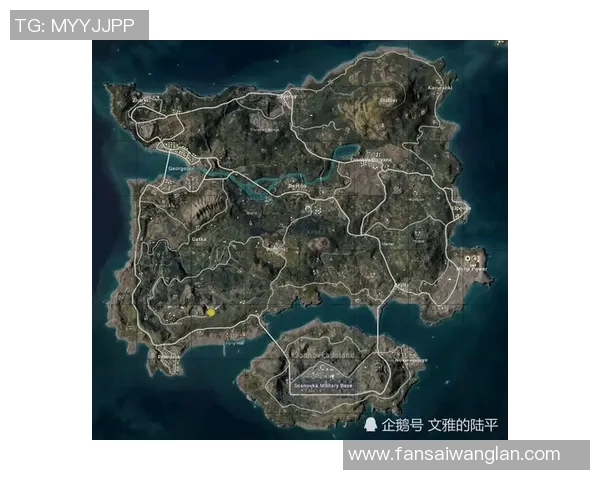 和平精英战术解析：BLG中路突破体系的核心策略与实战应用