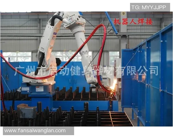 美国健身器材租赁市场现状与用户满意度报告