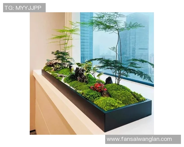 盆栽植物的养护技巧与装饰设计，打造温馨绿色生活空间
