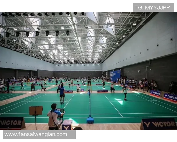 西安羽毛球队实力分析与发展潜力探讨聚焦羽毛球运动的未来之路