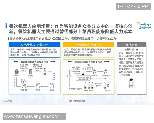 重磅专题：TES如何实现全面转型与创新突破的深度解析