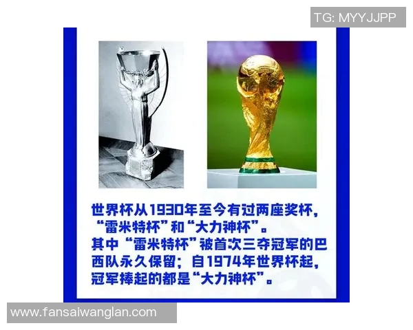 全球最火的女足球明星背后的故事与成就解析 全球最火的女足球明星背后的故事与成就解析