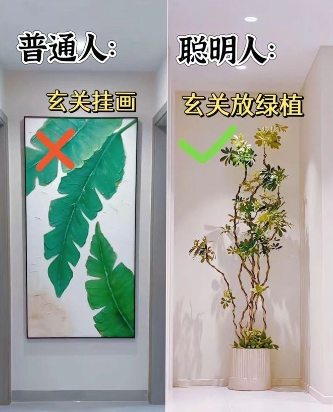 星空综合官网装修万万不要自觉跟风合适本人的才是最好的！(图4)